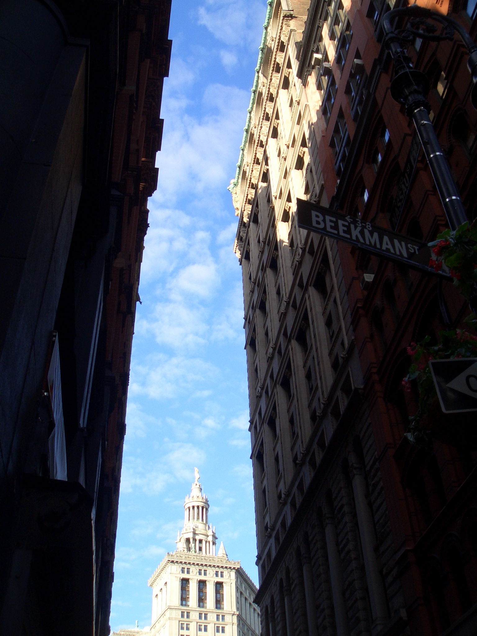 THE Skyshot Manhattan II.jpg