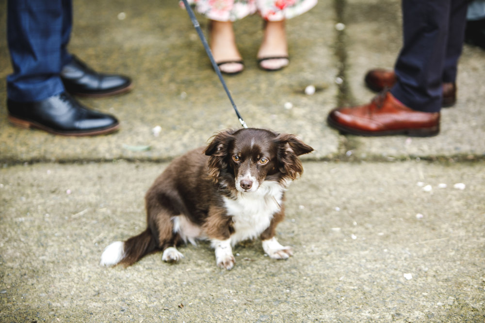 doxford barns wedding photos-55.jpg