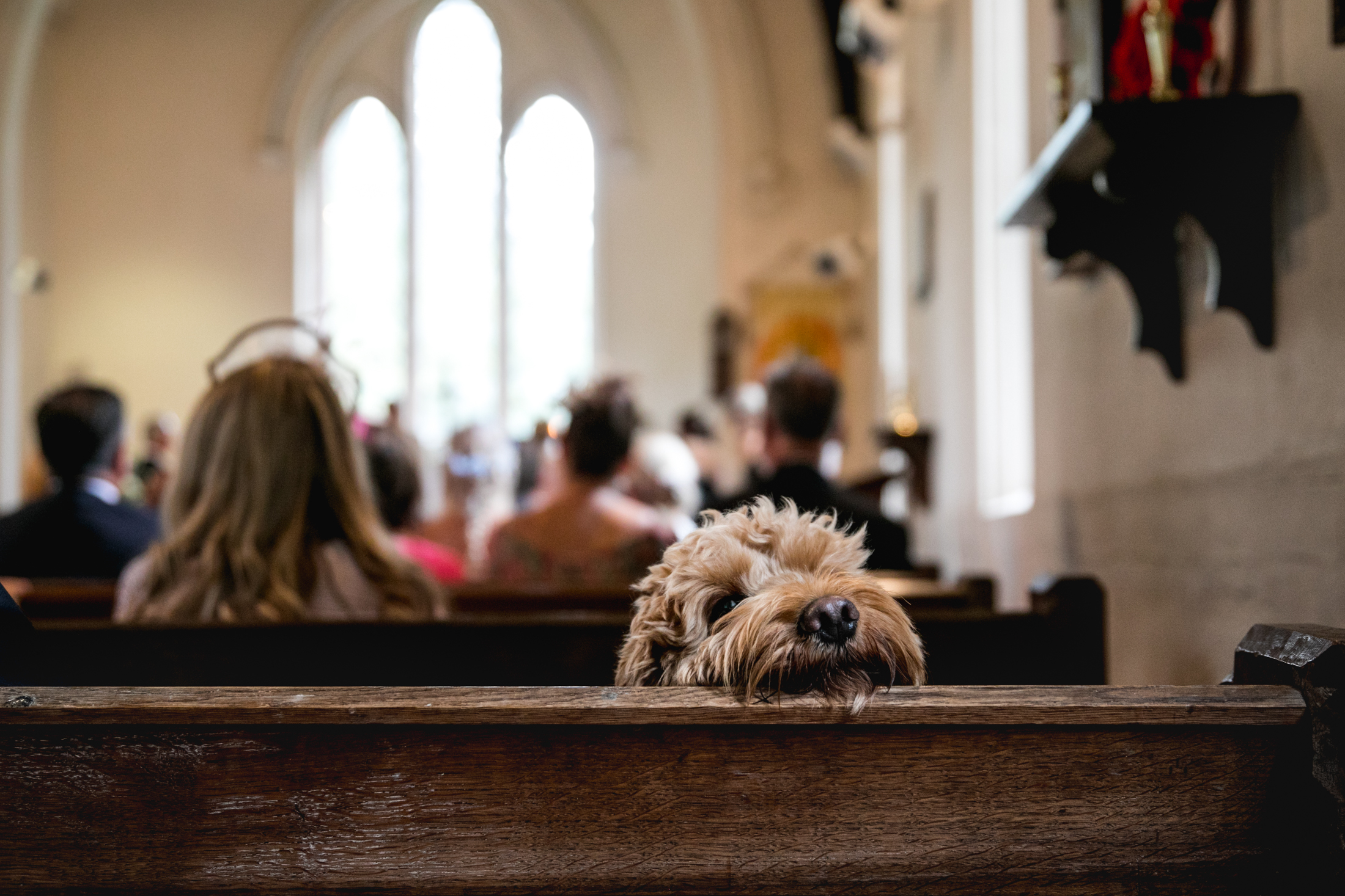 EDEN BARN WEDDING PHOTOGRAPHER-17B.jpg