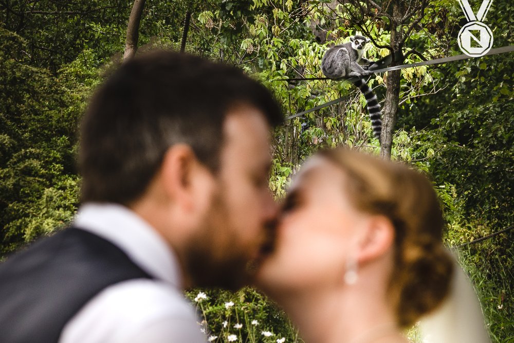 edinbrugh-zoo-wedding-photographer.jpeg