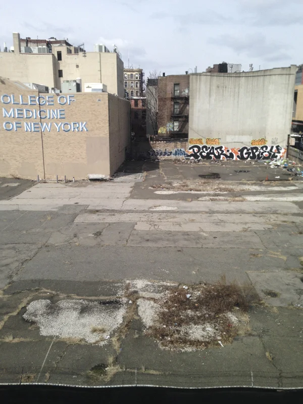 WEEKSEVEN-9.jpg