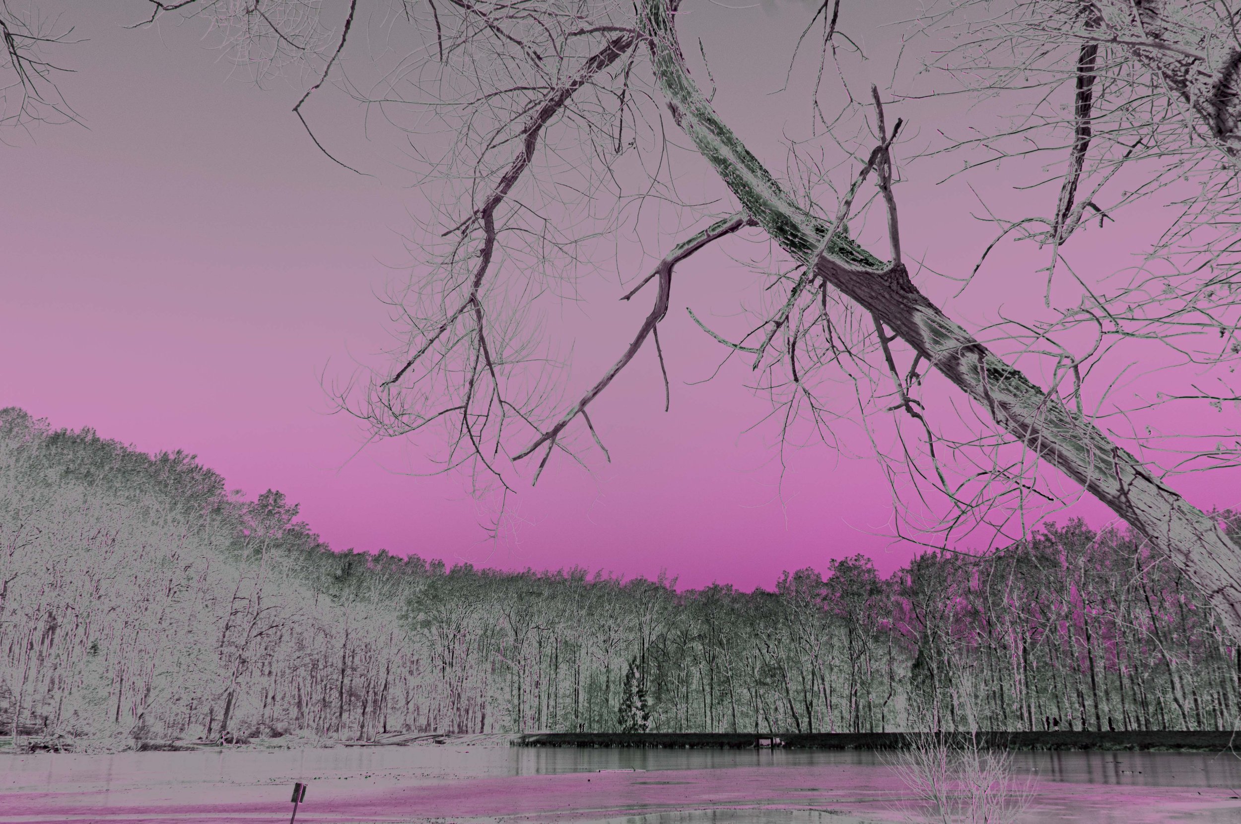 Icy Infrared  5-Edit.jpg