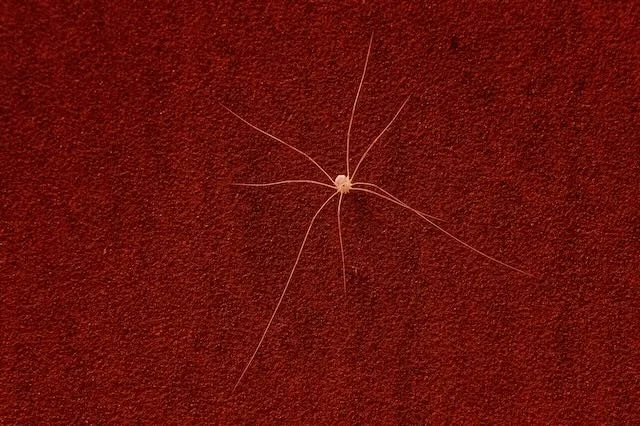 Glenstone Museum June 18 INFRARED (12).jpeg