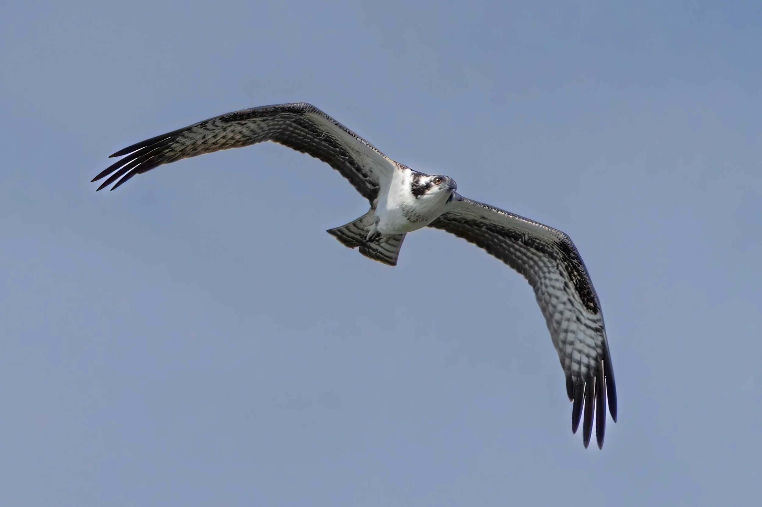 Royal Oak MD Marika Visit  461-Edit.jpeg