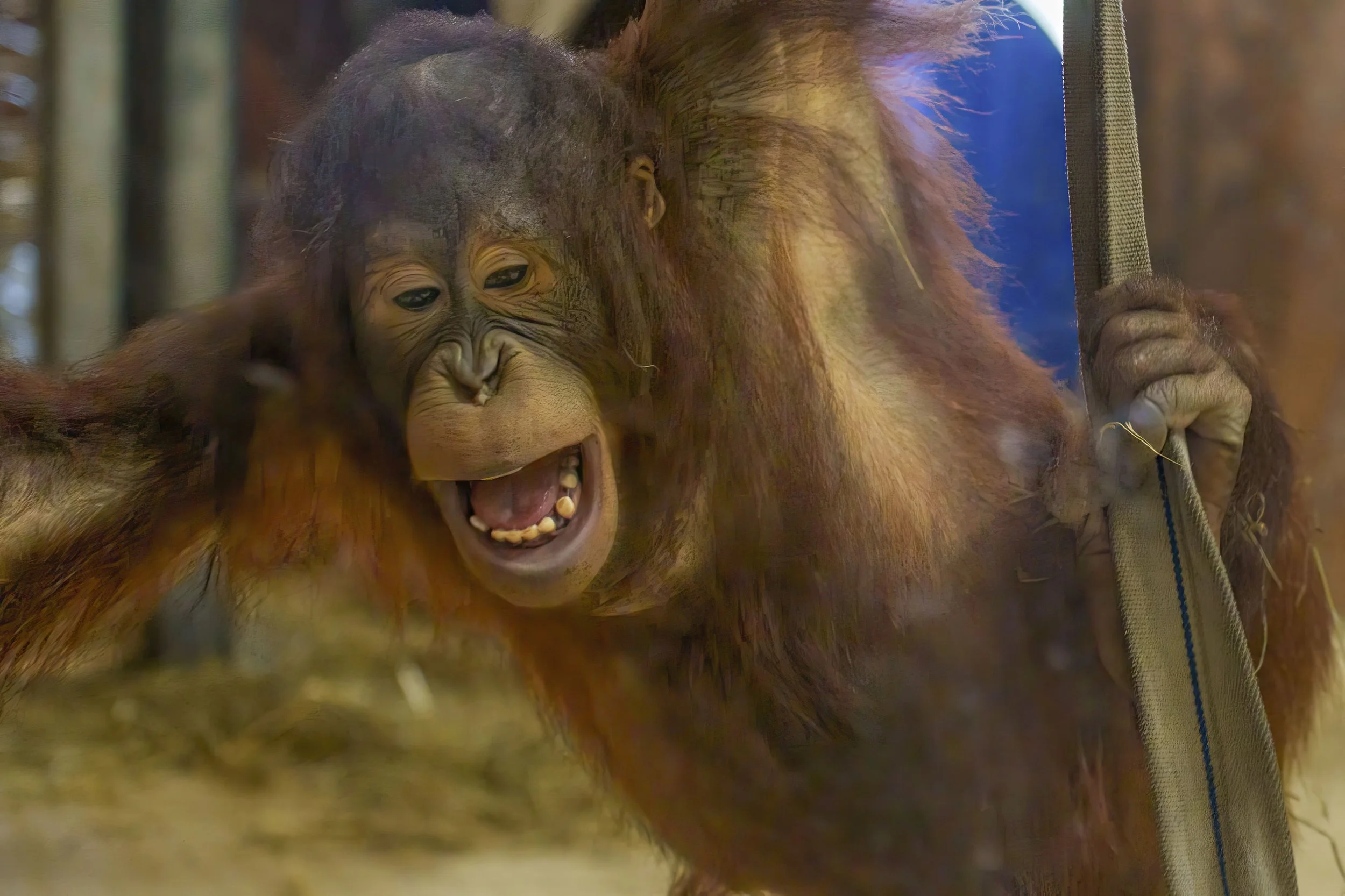 The Zoo August 26  186-Edit.jpeg