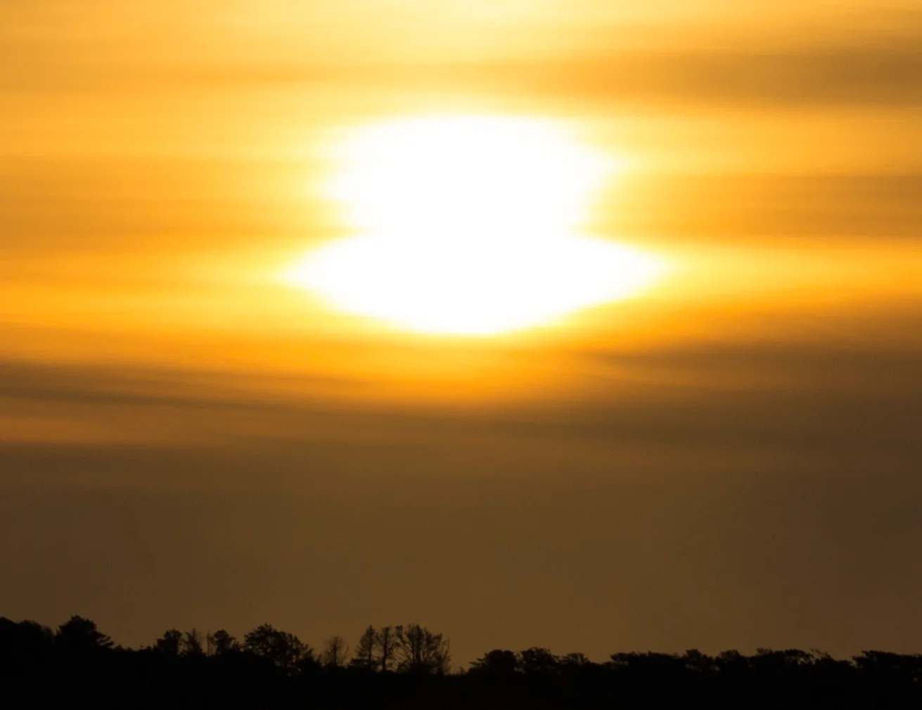 Even in the brightest parts of the image, you can see the noise (click to view 100%)
