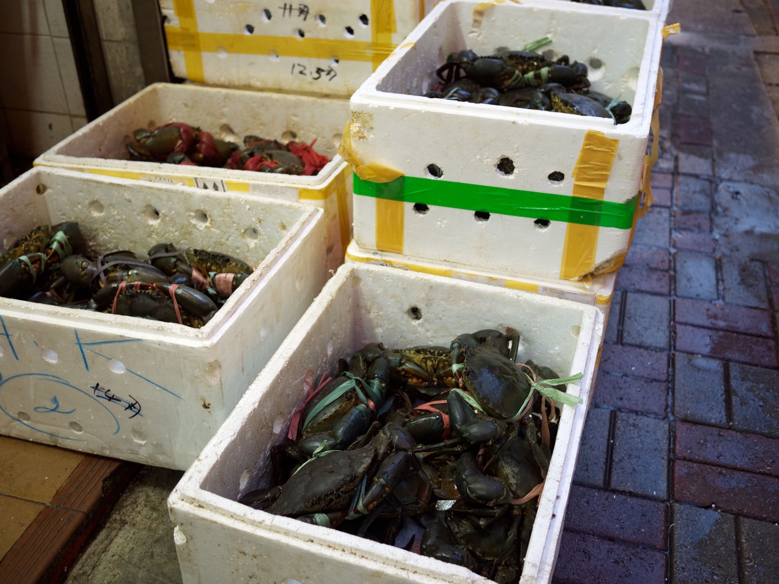 FOOD-ChiliCrab_2011-09-04_18-30-25_P1040269_©JosephLinaschke2011.jpg
