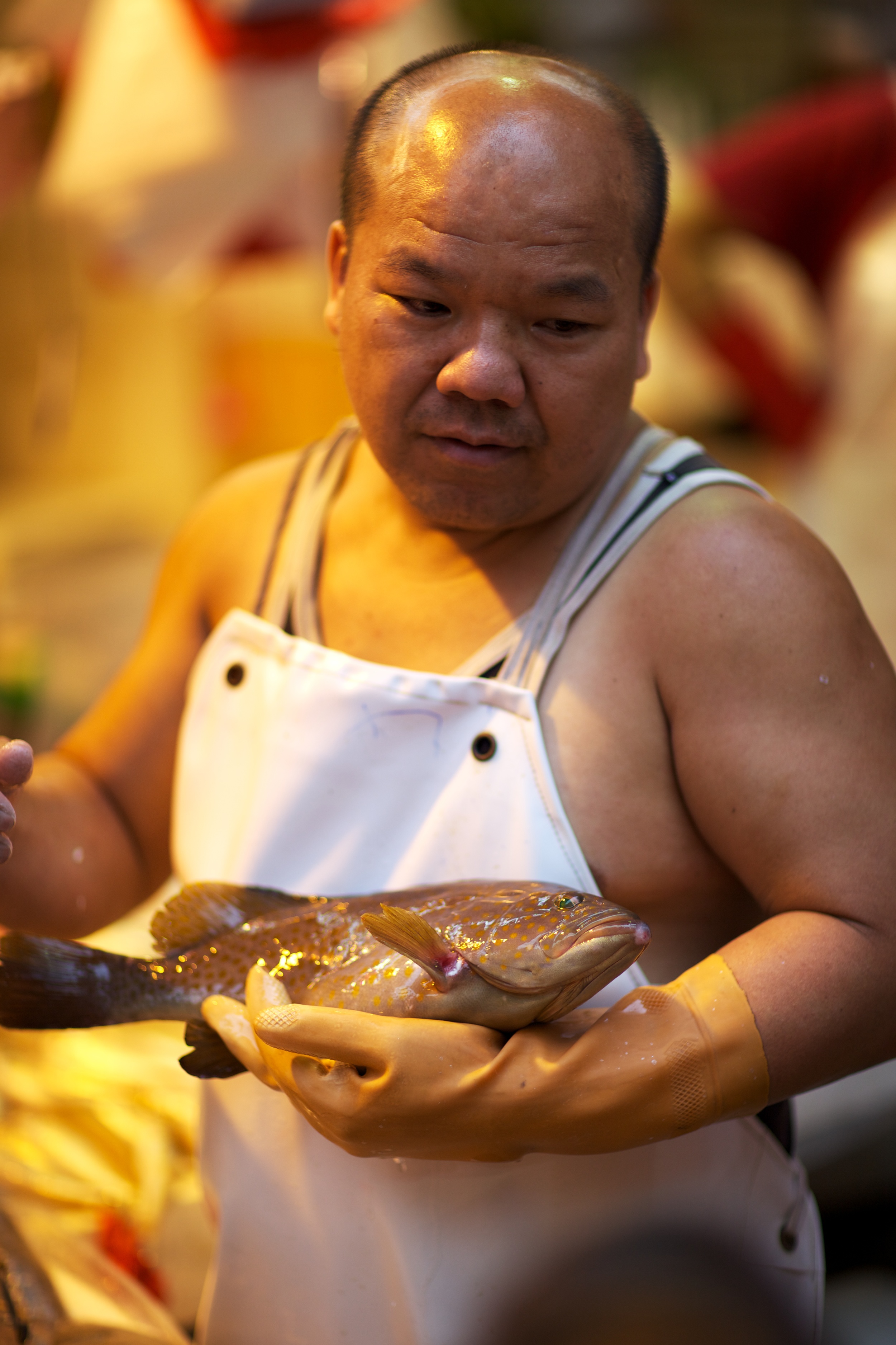 SEE-DO-WetMarket_2011-09-01_16-42-41_IMG_0017_©JosephLinaschke2011.jpg