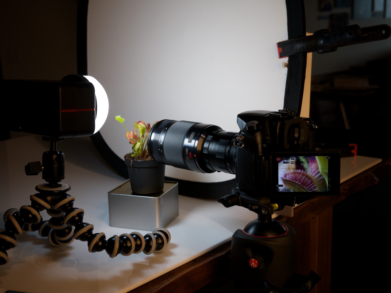 Just one light and a bounce on the other side illuminated this scene nicely