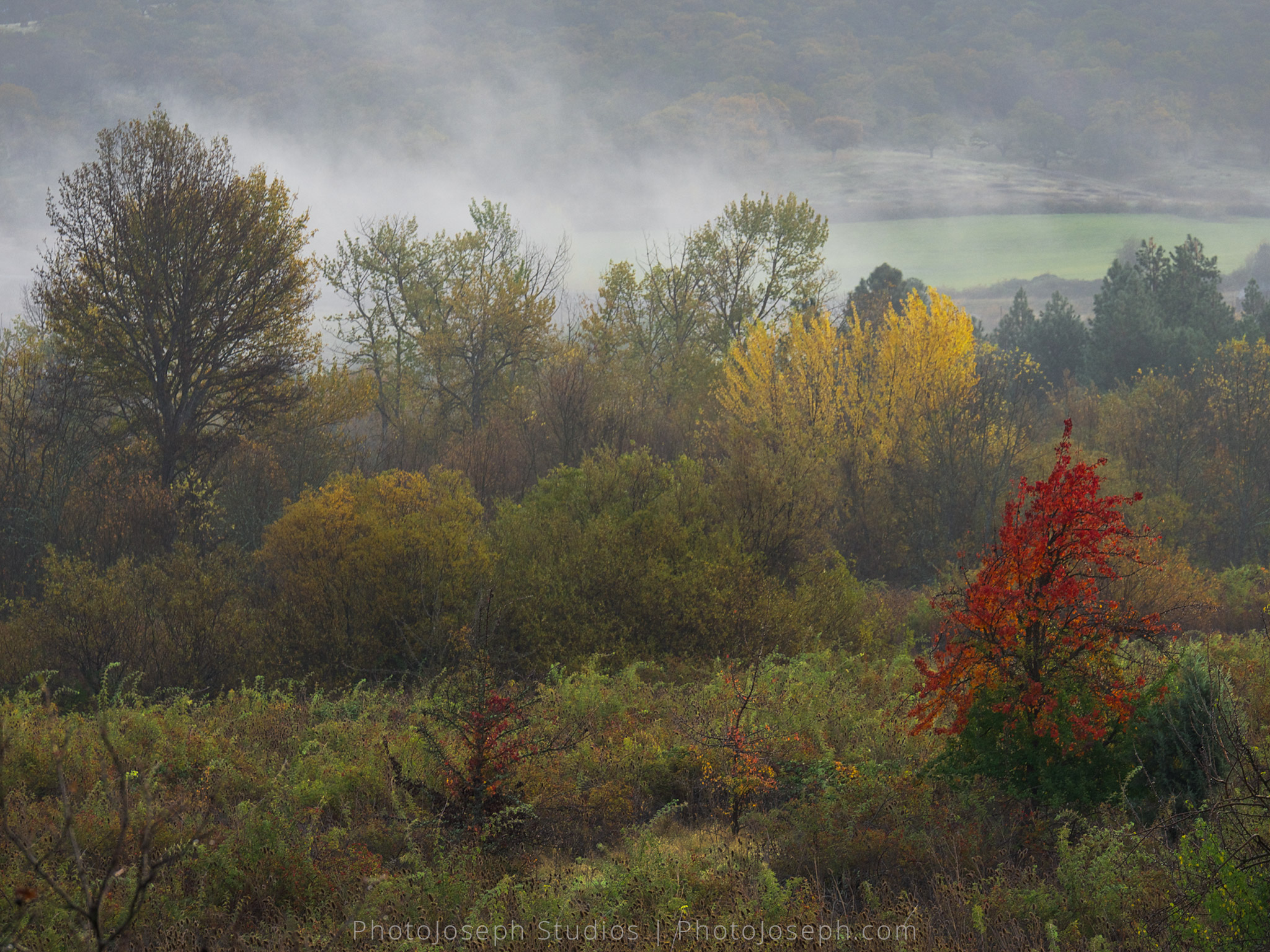 3W-PhotoJoseph-FallColors-1240156.jpg