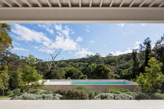 Swimming Pool by Chen Chow Little Australia