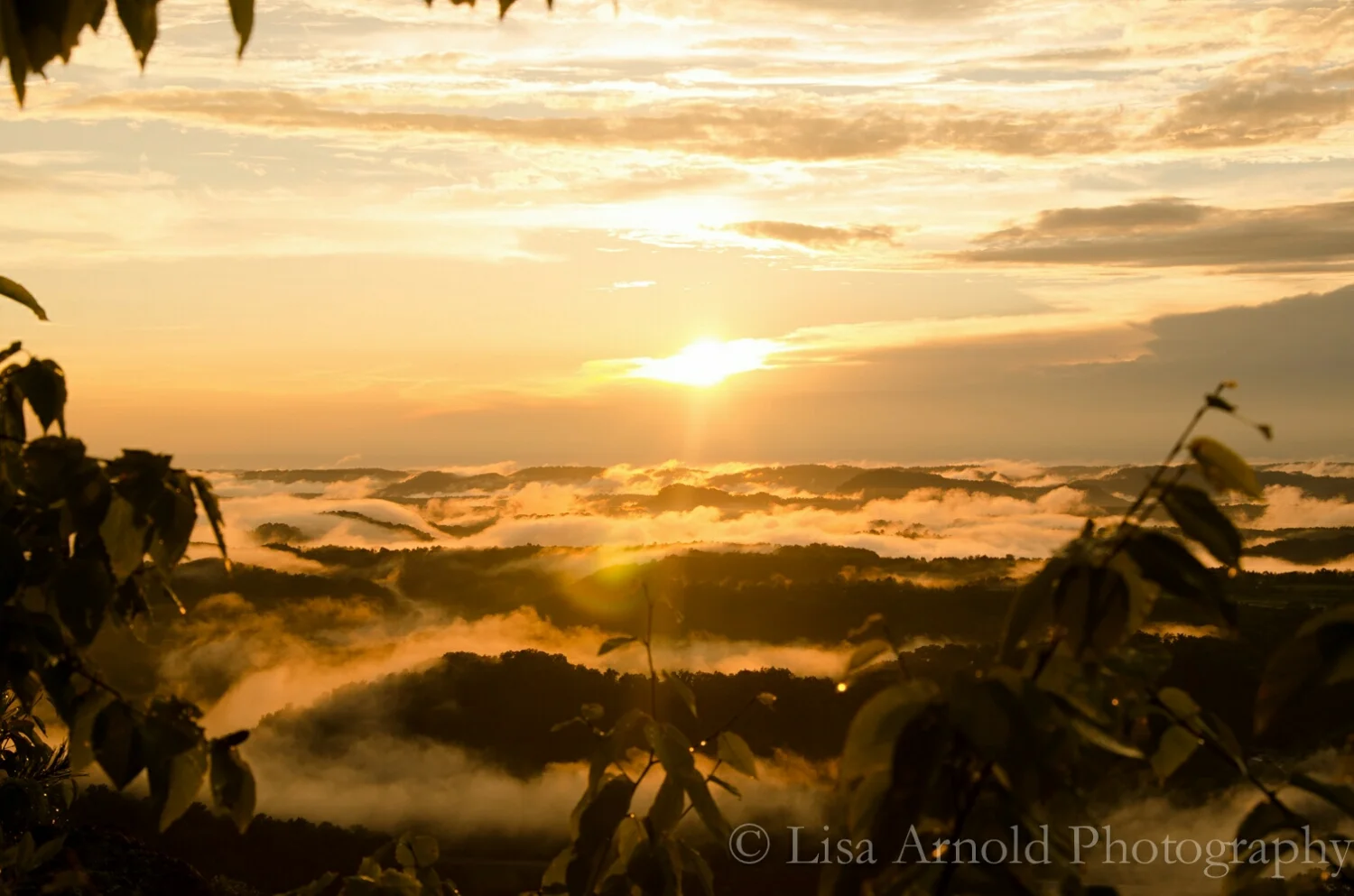 From above the mist. 
