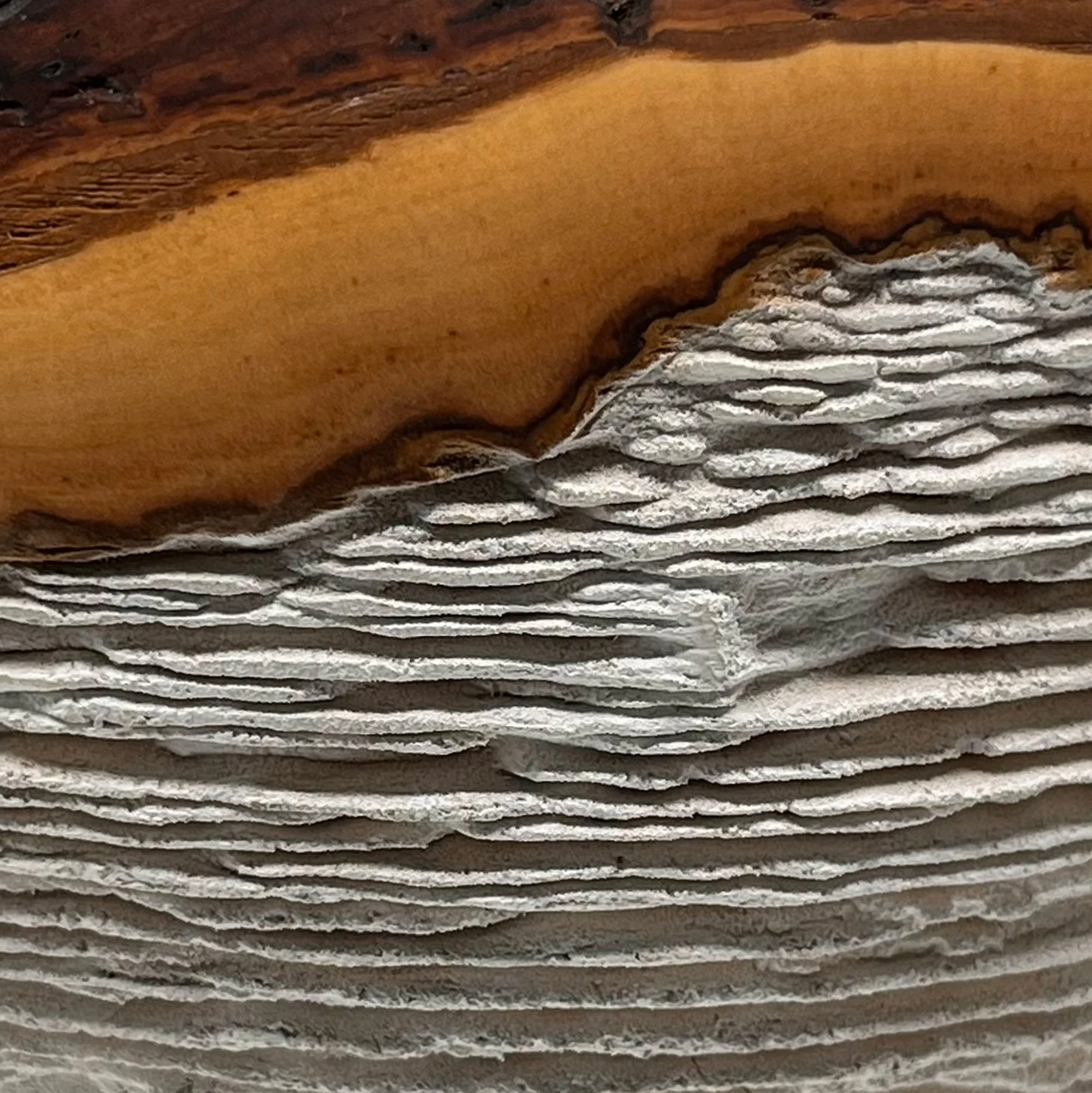strandline-eroded-spalted-maple-bowl-2.jpg