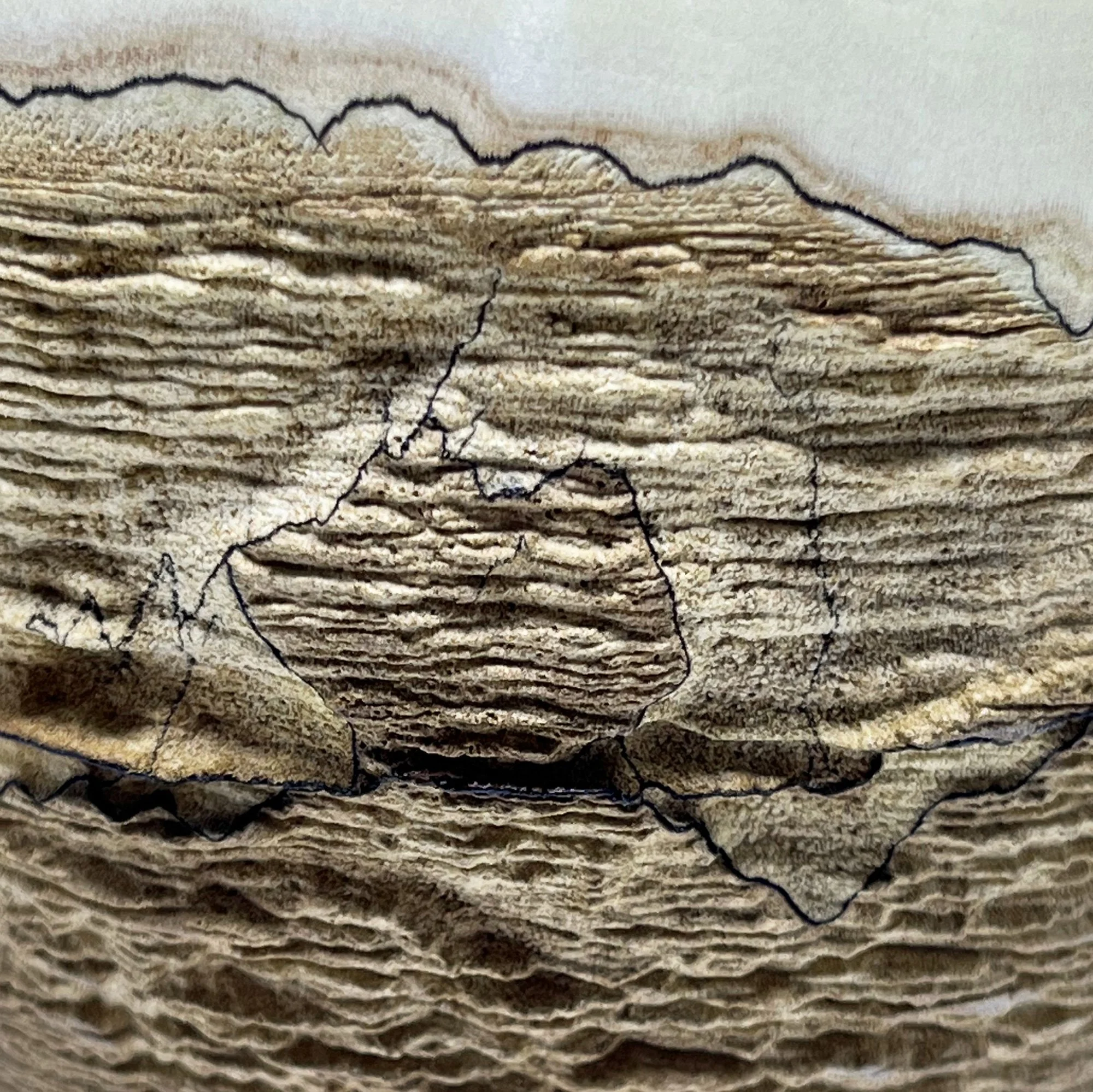 snowline-eroded-spalted-maple-vessel-02.jpg