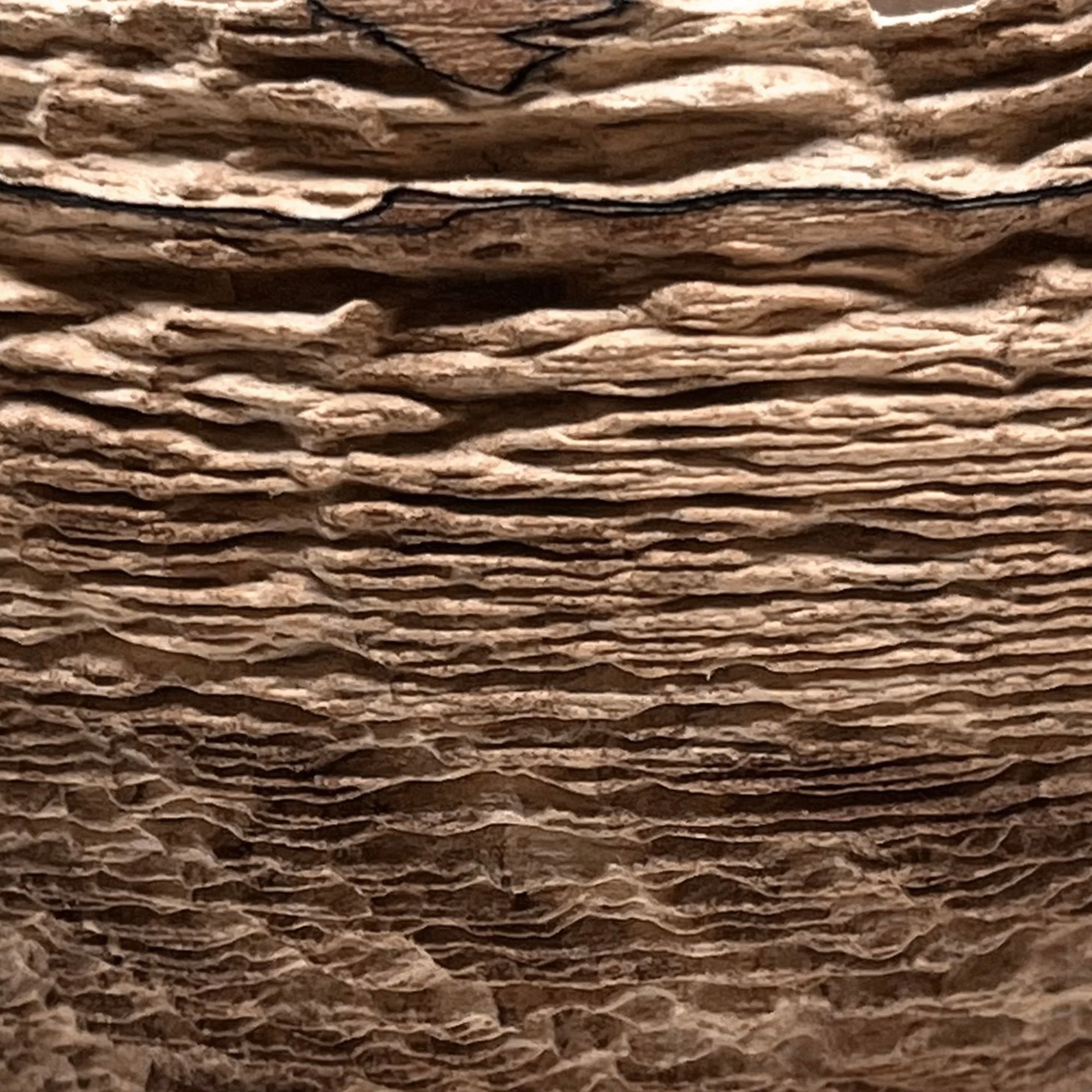 channel-eroded-spalted-maple-bowl-2.jpg