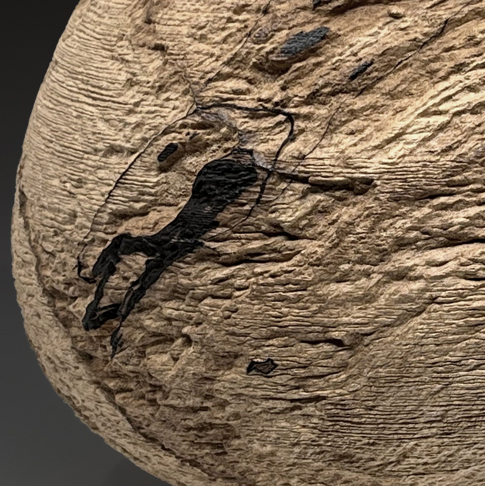 sepia-eroded-spalted-maple-vessel-02.jpg