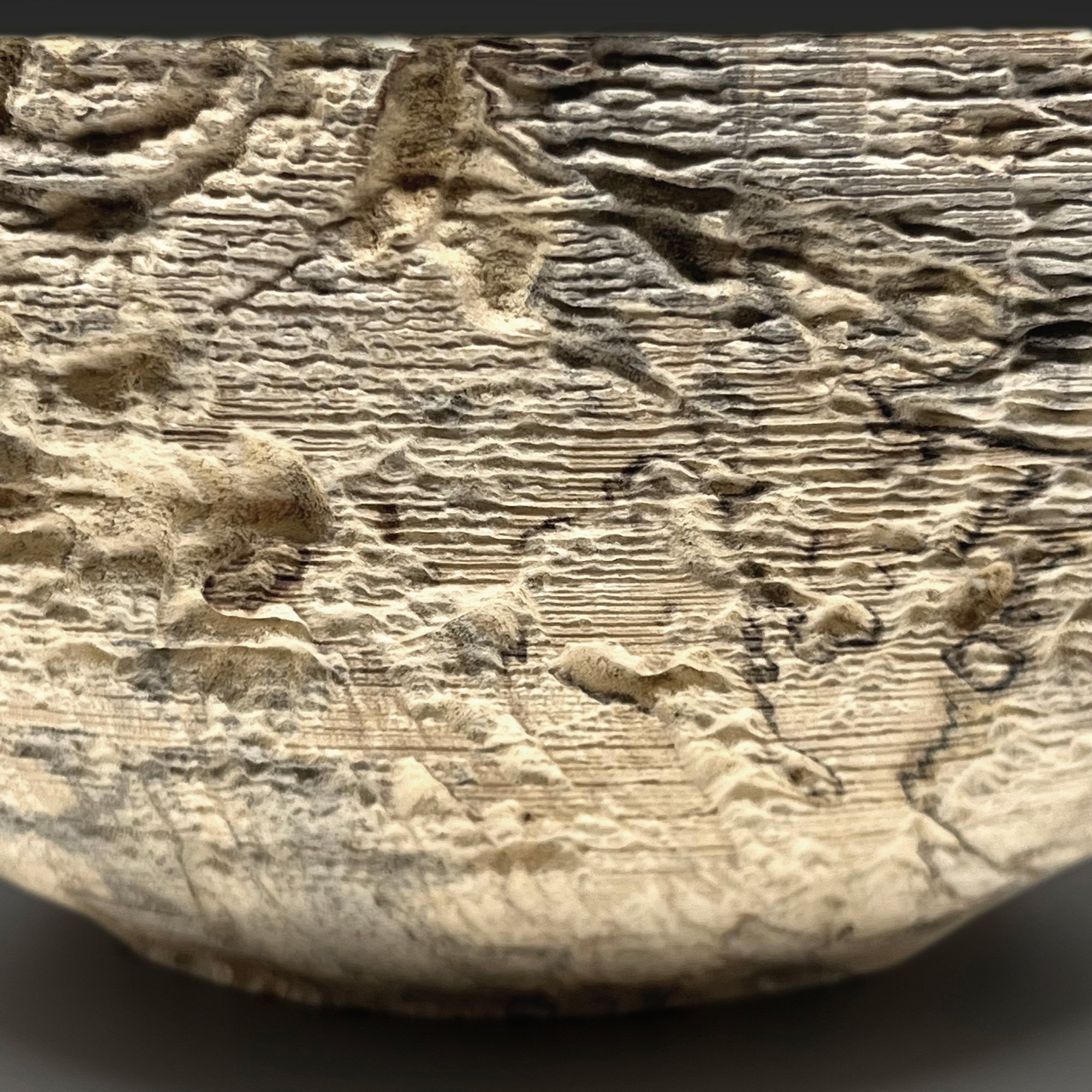 tafoni-eroded-spalted-birch-bowl-02.jpg