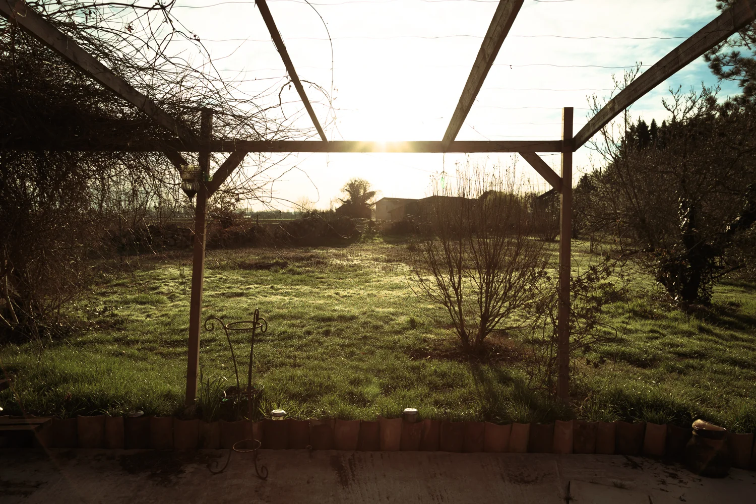 20130322-9155.jpg