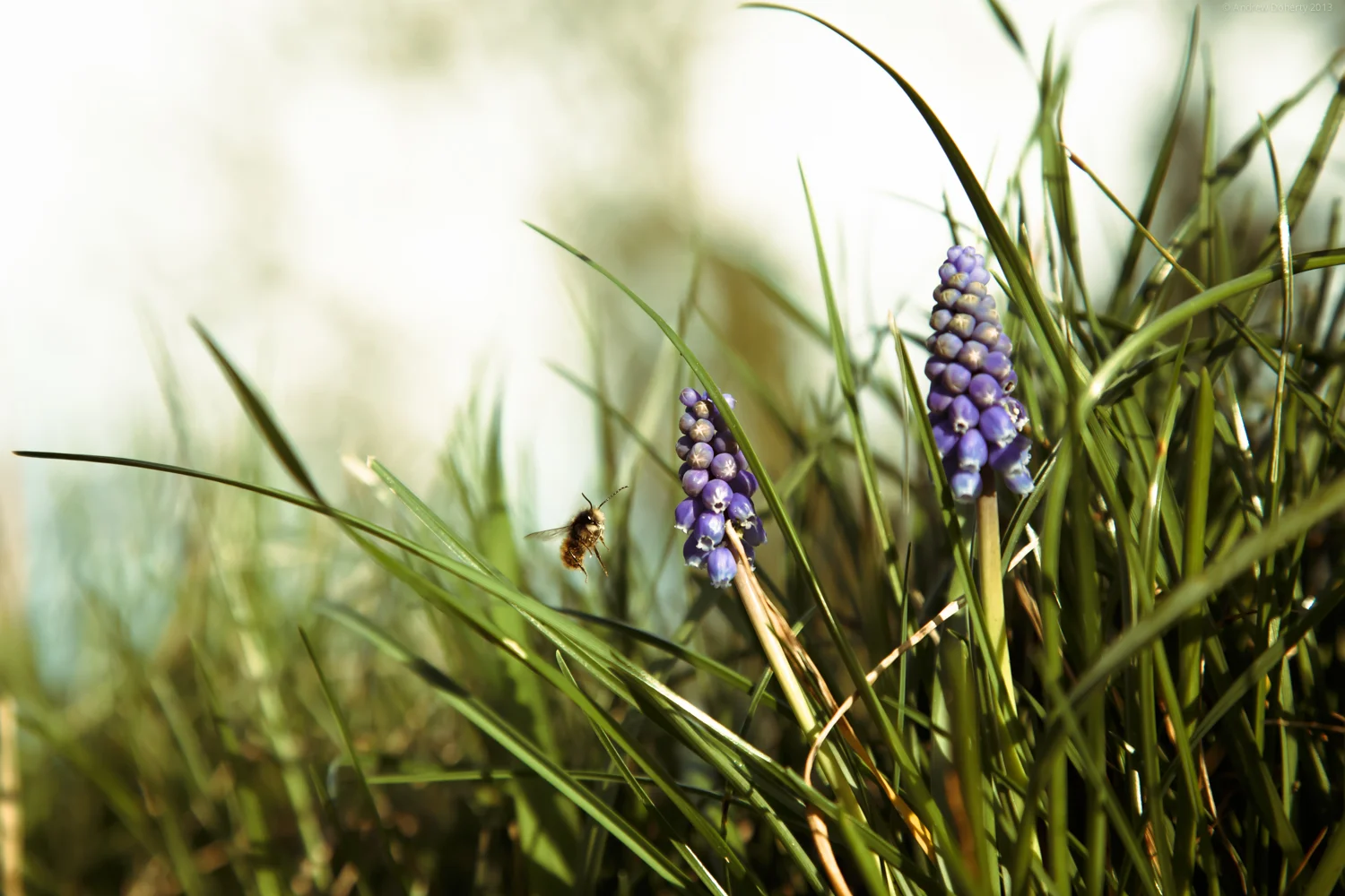 20130323-2.jpg