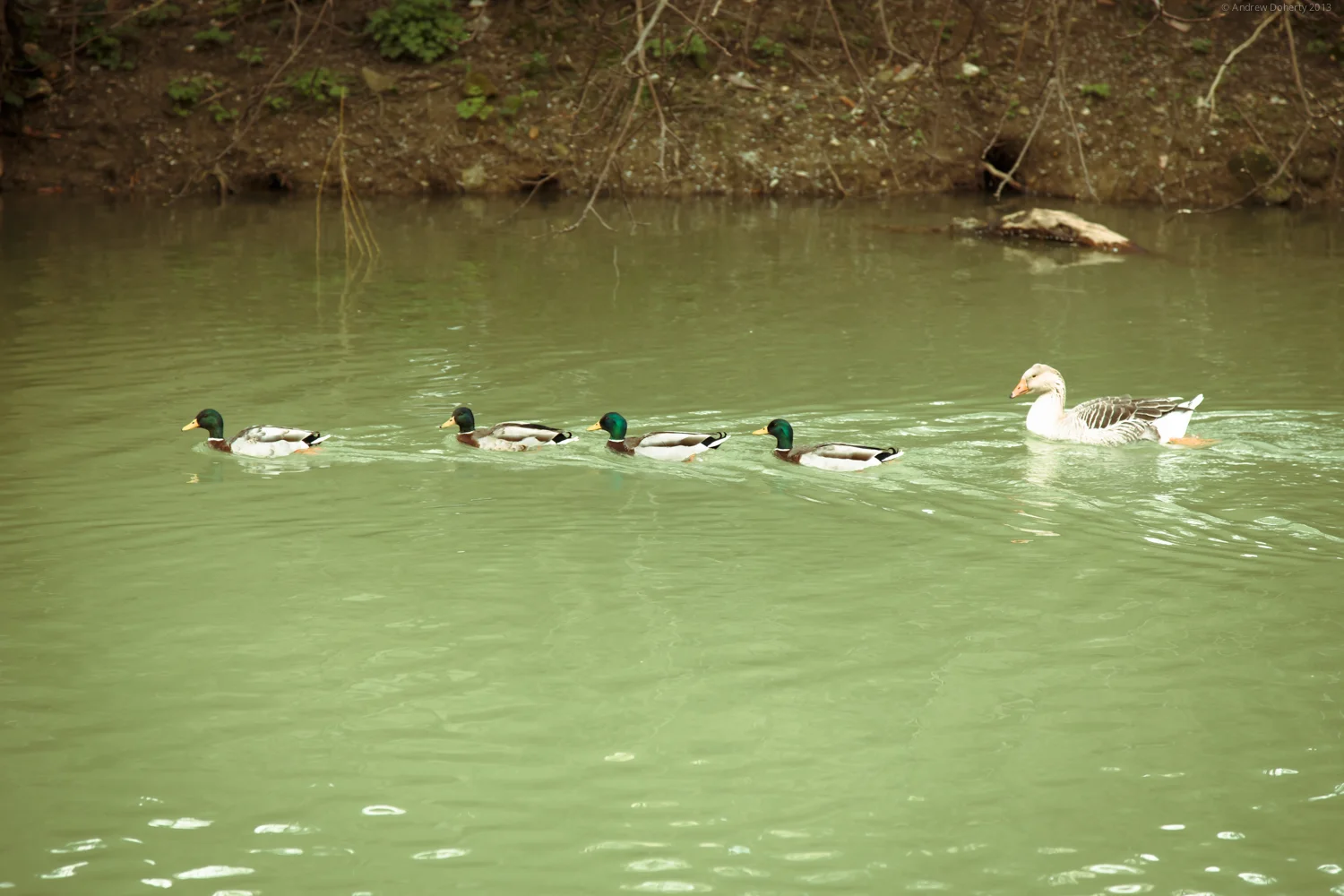 20130323-9250.jpg