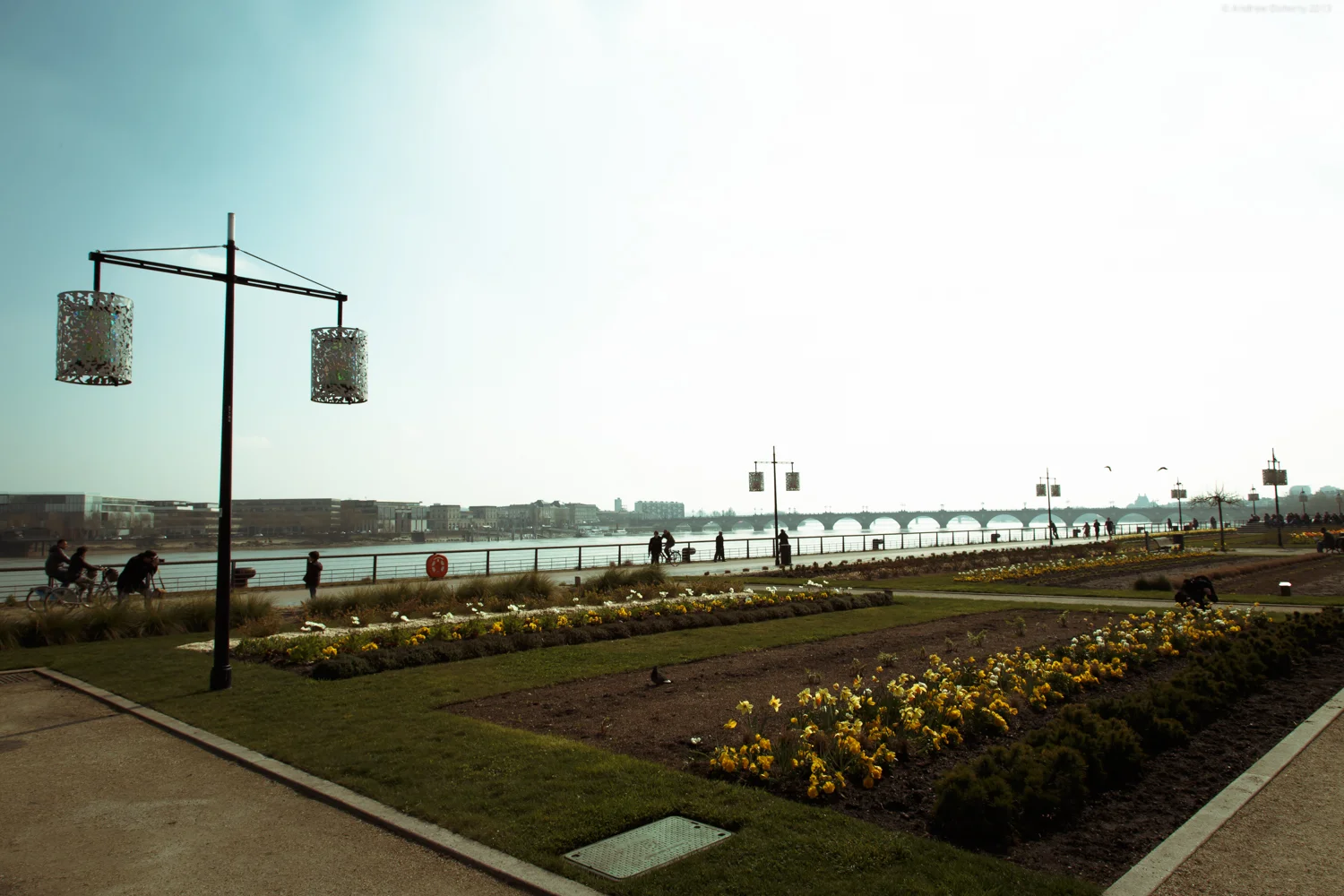 20130326-9453.jpg