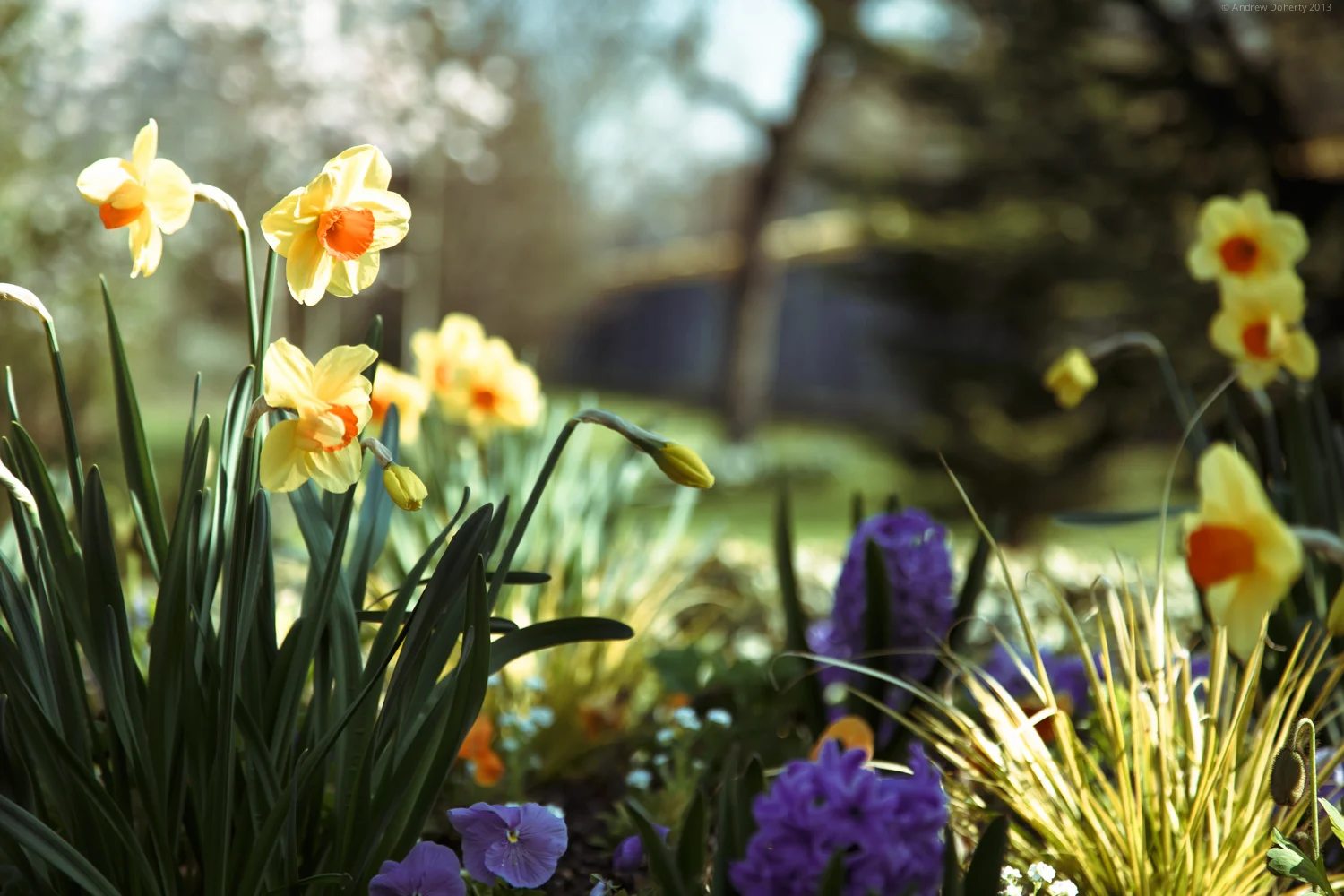 20130327-9515.jpg