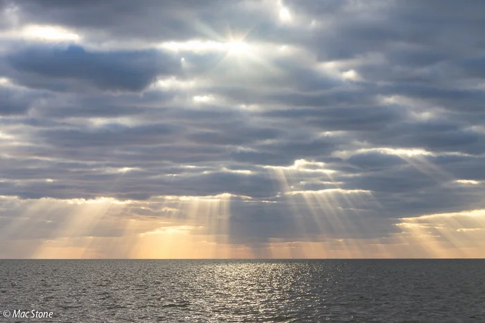 MacStone_Florida_Everglades-1736.jpg