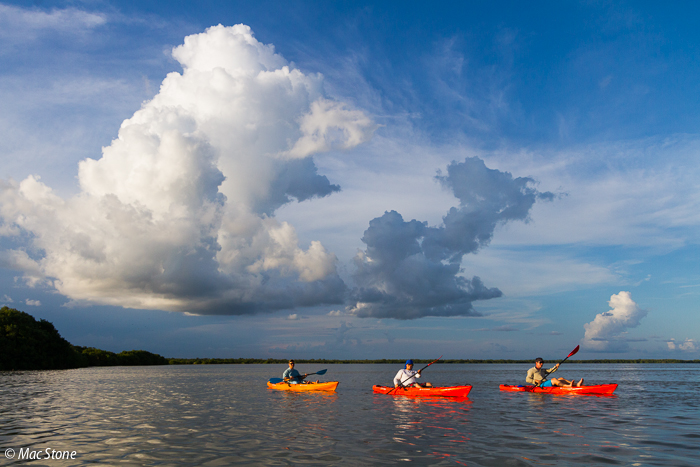 MacStone_Florida_Everglades-8905.jpg