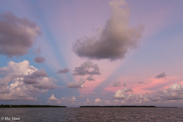 MacStone_Florida_Everglades-8918.jpg