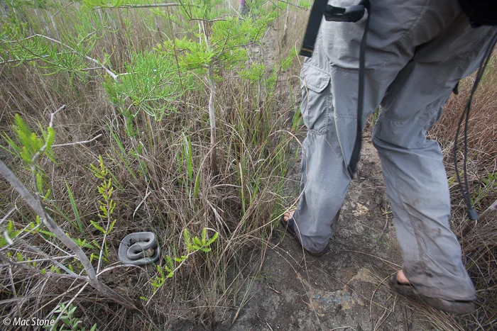 MacStone_Florida_Everglades-3407.jpg