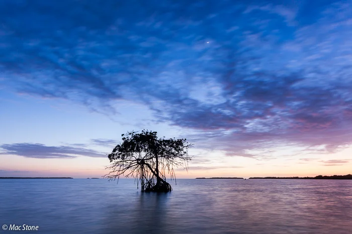 MacStone_Florida_Everglades-3577.jpg