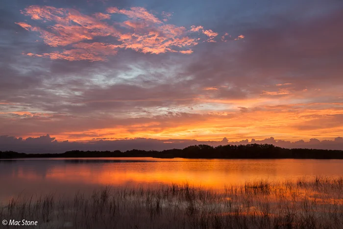 MacStone_Florida_Everglades-4626.jpg