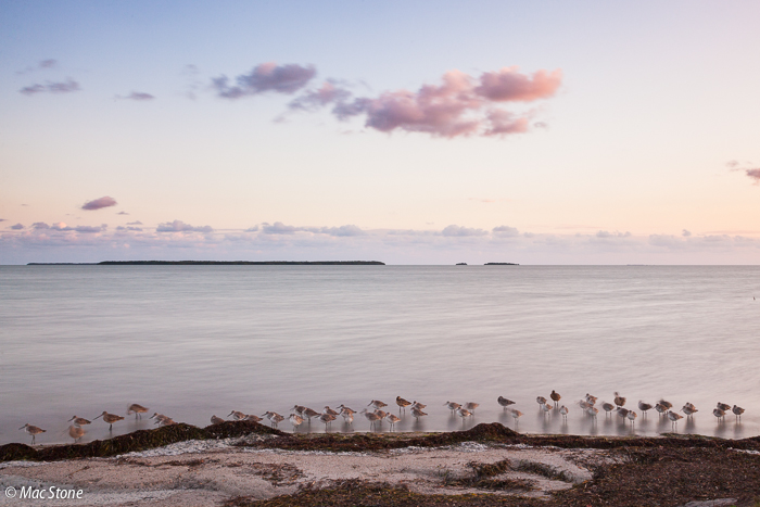 MacStone_Florida_Everglades-9838.jpg