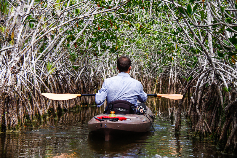 MacStone_Florida_Everglades-1993.jpg