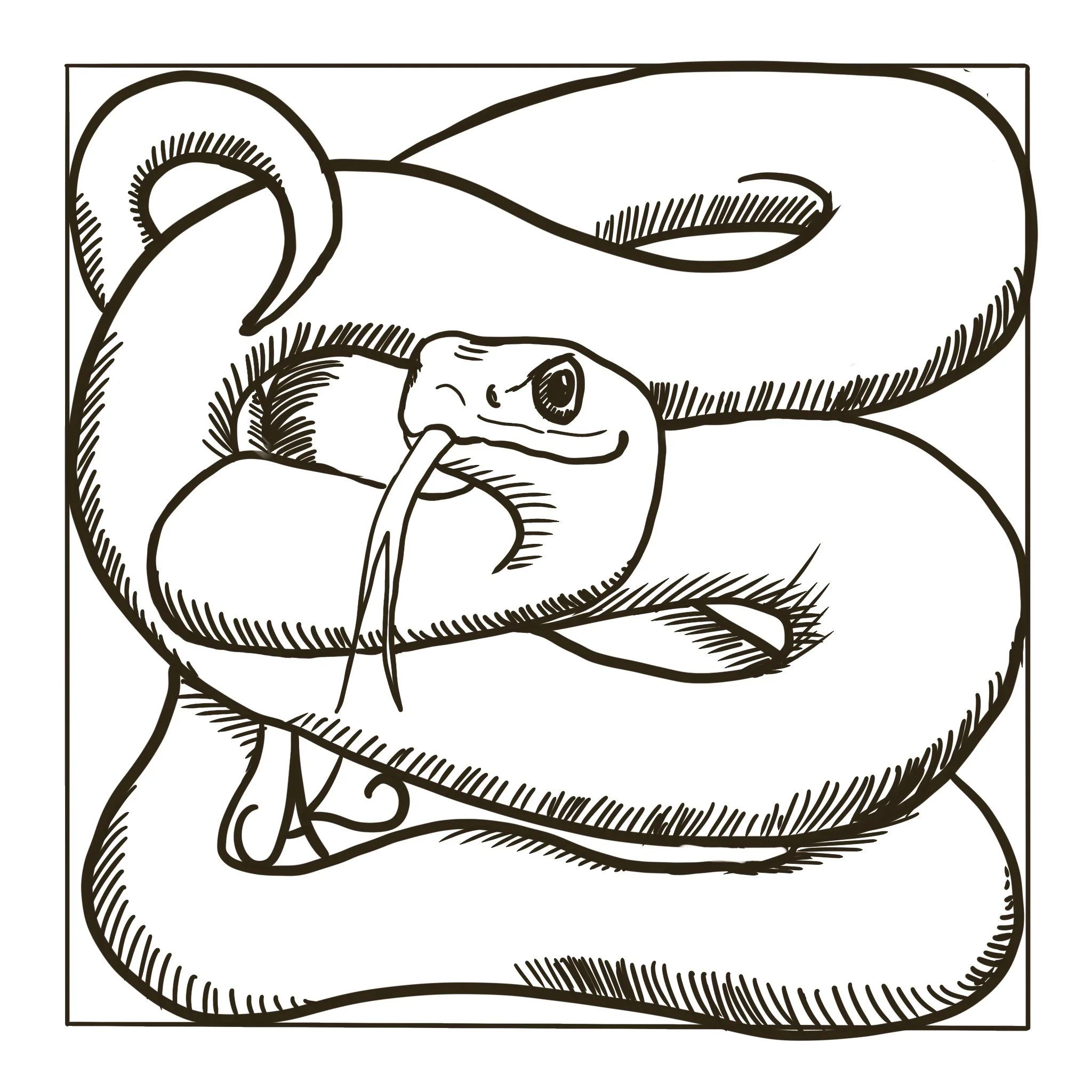 F2a_Snake.jpg
