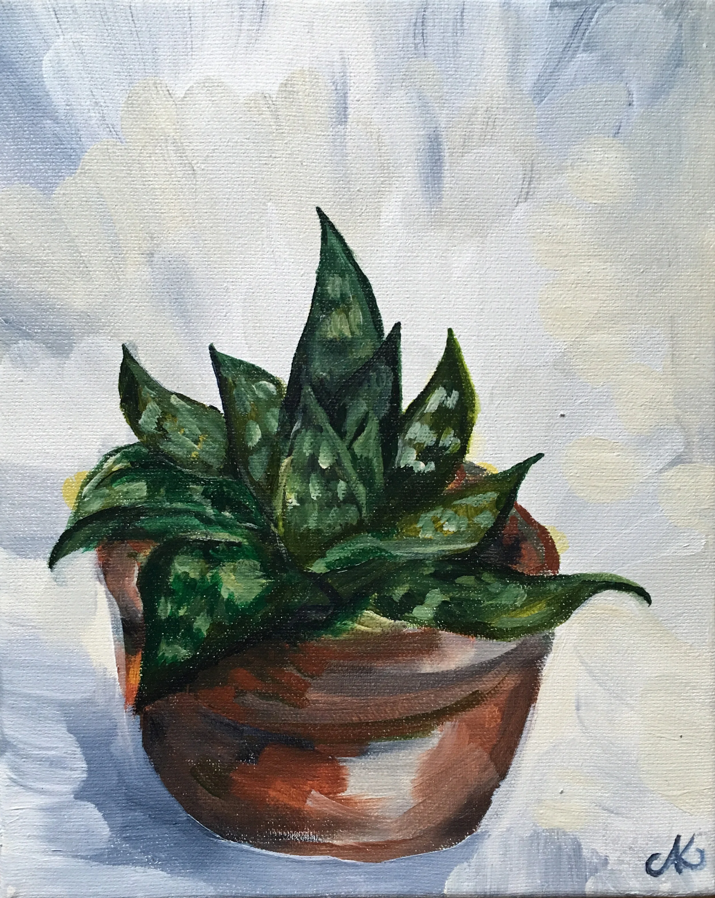 Little plant