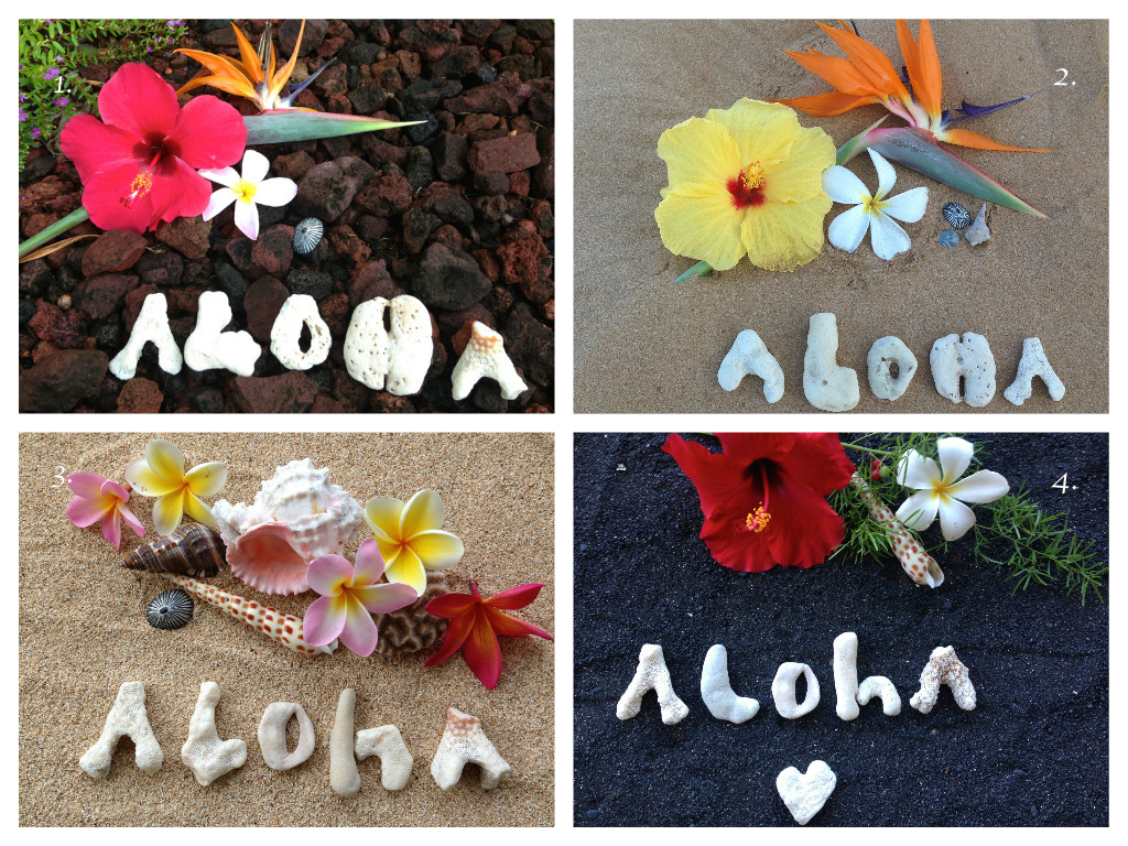 Aloha Series
