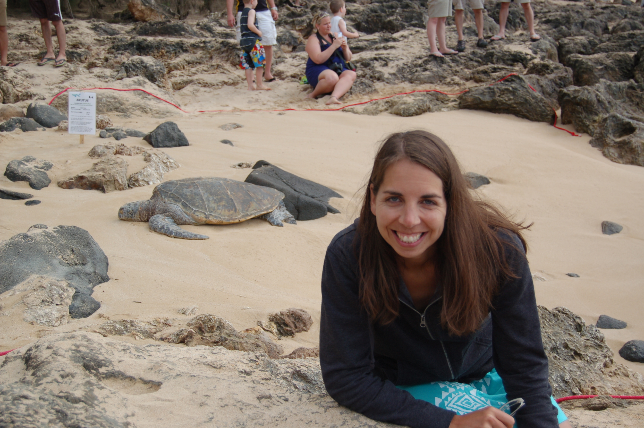 Turtle Beach (with a honu)