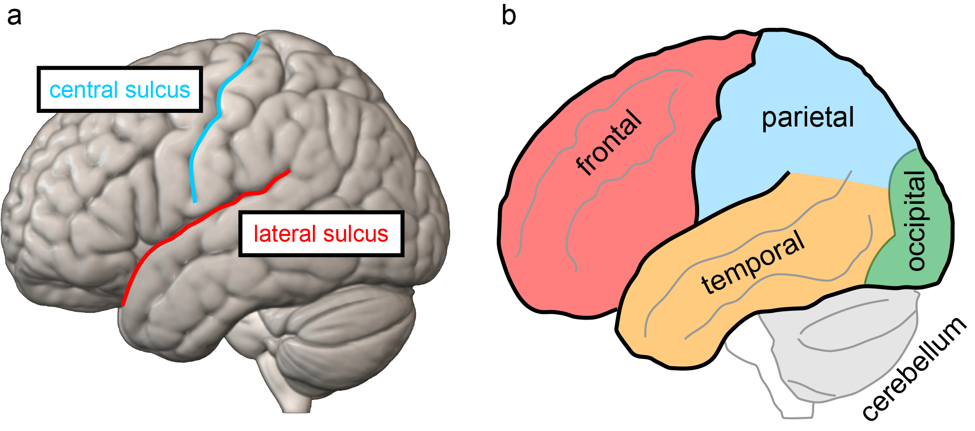 Figure3.8.png