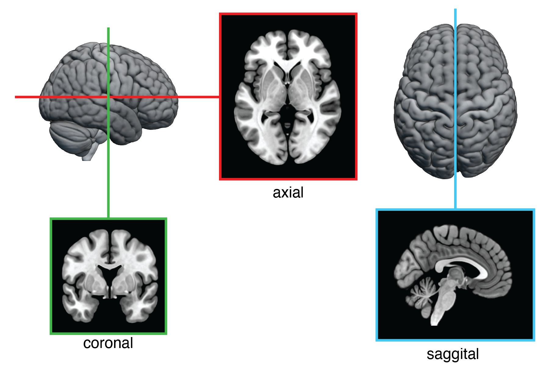 Figure3.12.png
