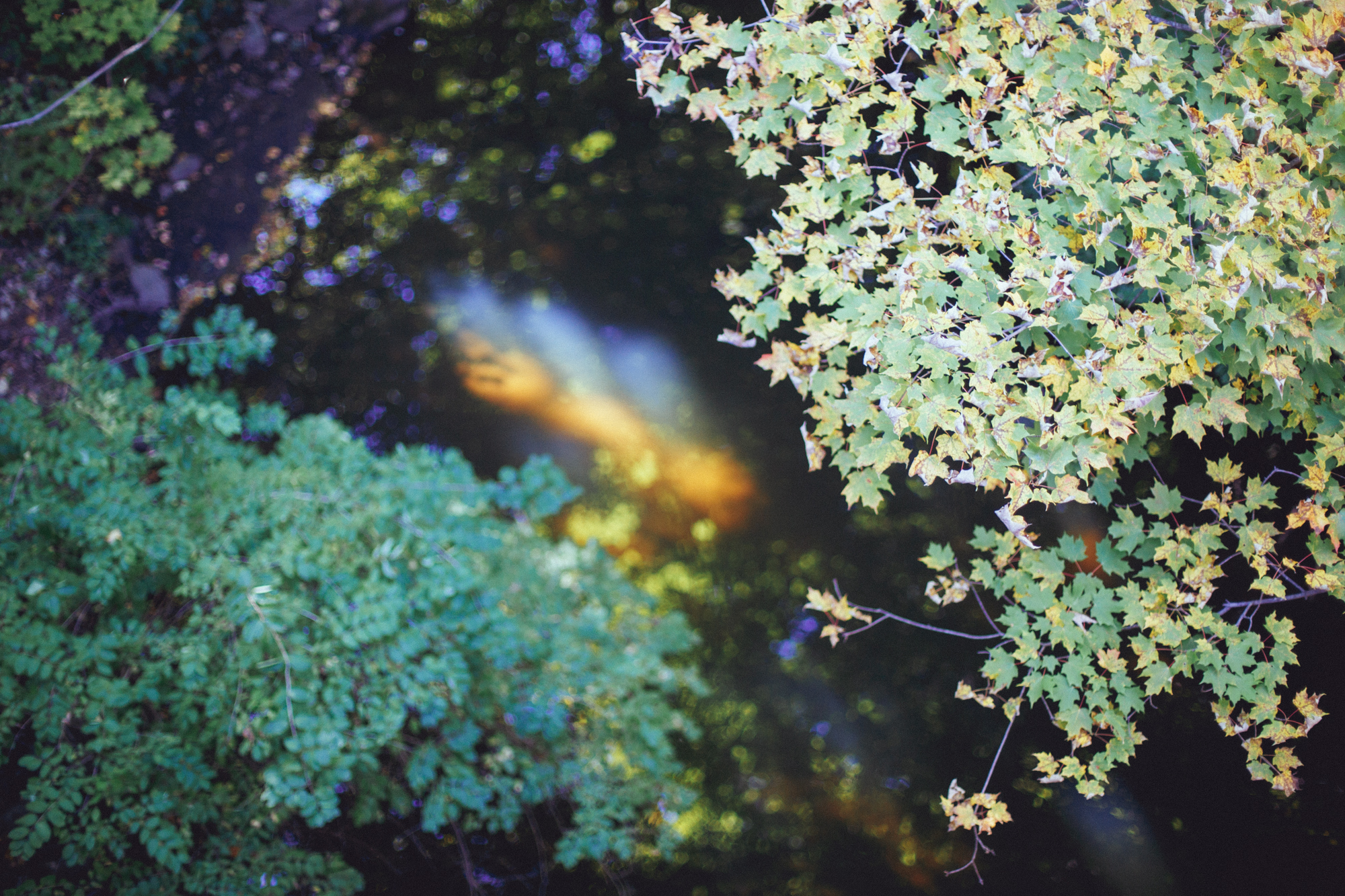 ISO 400, Color Matte Preset