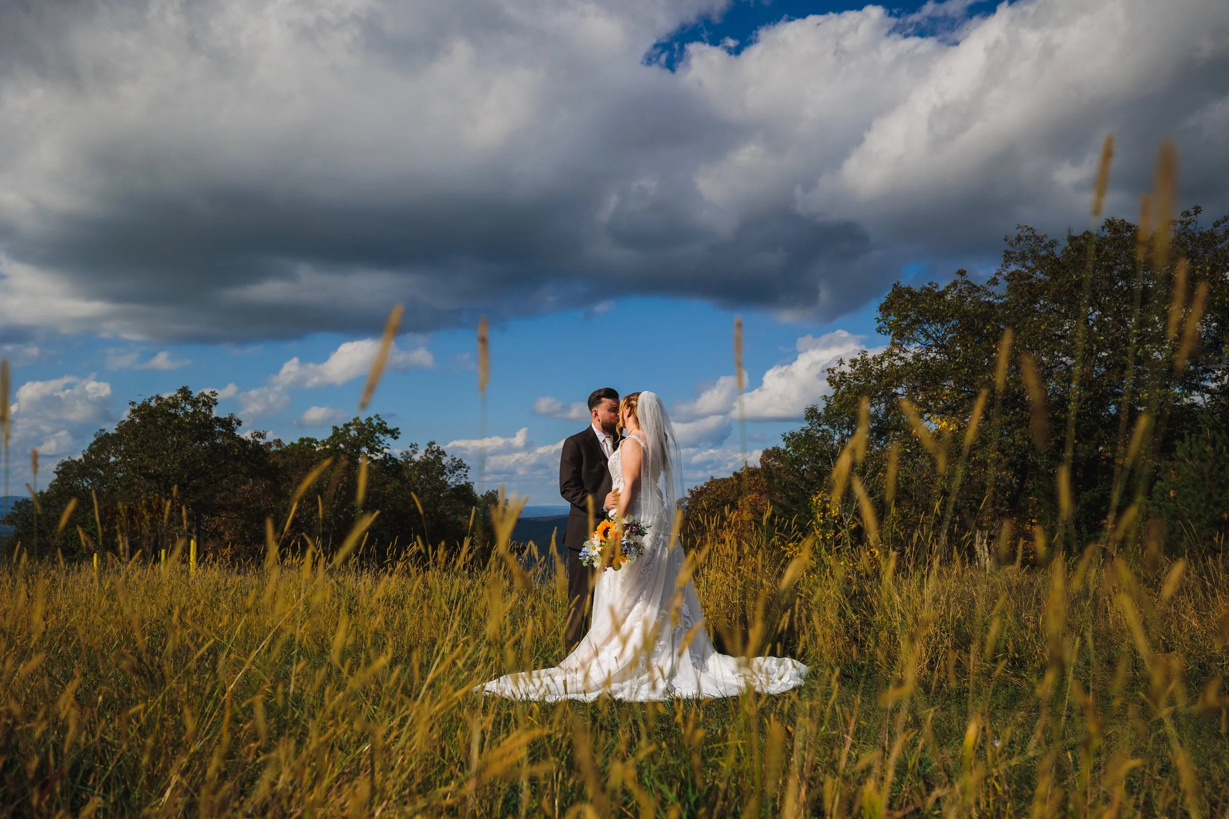 A bride and groom standing in a field of tall grass, sharing a kiss. The groom is wearing a black suit and the bride is in a white wedding dress holding a bouquet. Dark clouds and a blue sky with some white clouds can be seen above them.