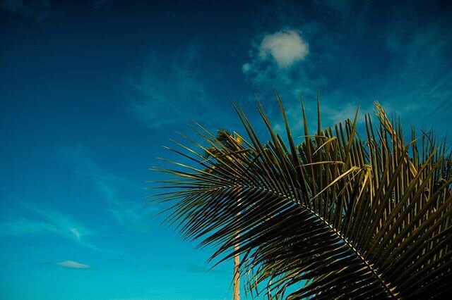 Island Life⠀⁠⠀
.⠀⠀⁠⠀
.⁠⠀
#TravelTheWorld #ShareTravelPics #WorldExplorer #TravelBug #Travelholic #Globetrotter #AroundTheWorld #TravelAddicts #GetLost #TravelScenes #InstaPassport #PostcardsFromTheWorld #PassportReady #TravelStroke #LonelyPlanet #TLP