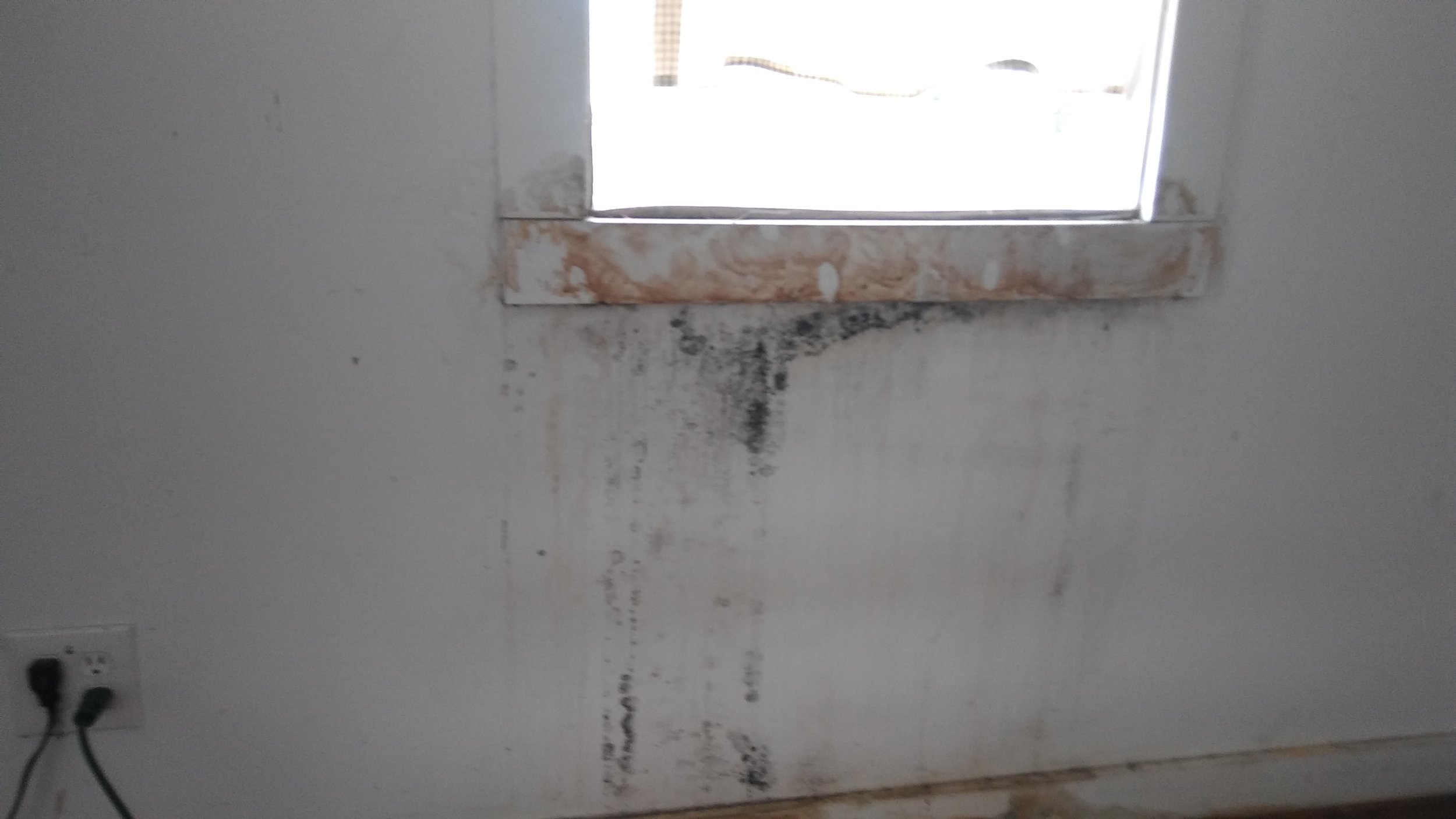 Leaky windows lead to mold.