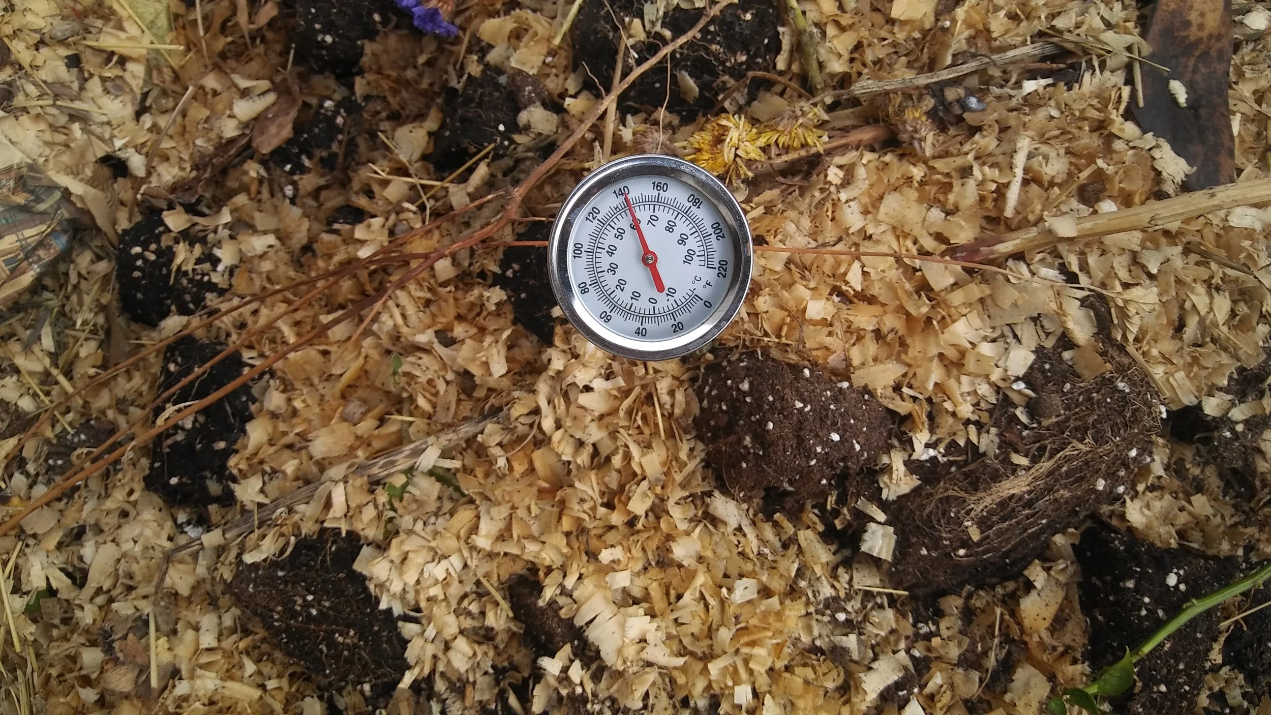 Composting is hot! E.A.T. South can get you started.