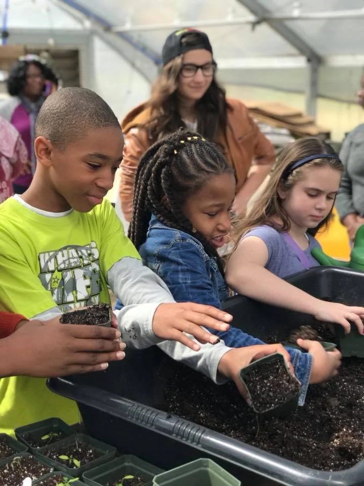 Students potting up plants during Good Food Day.