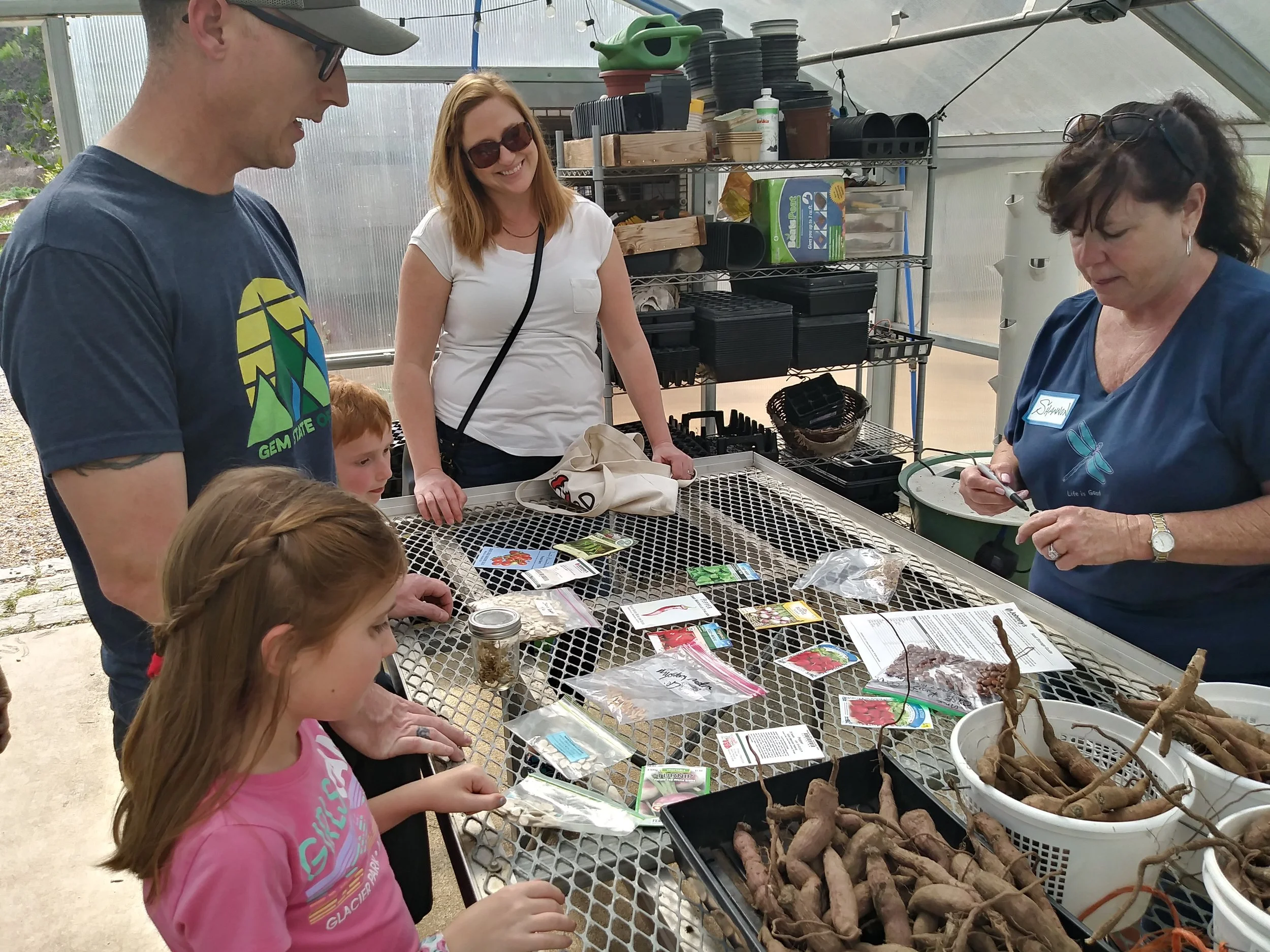 Telling Seed Stories