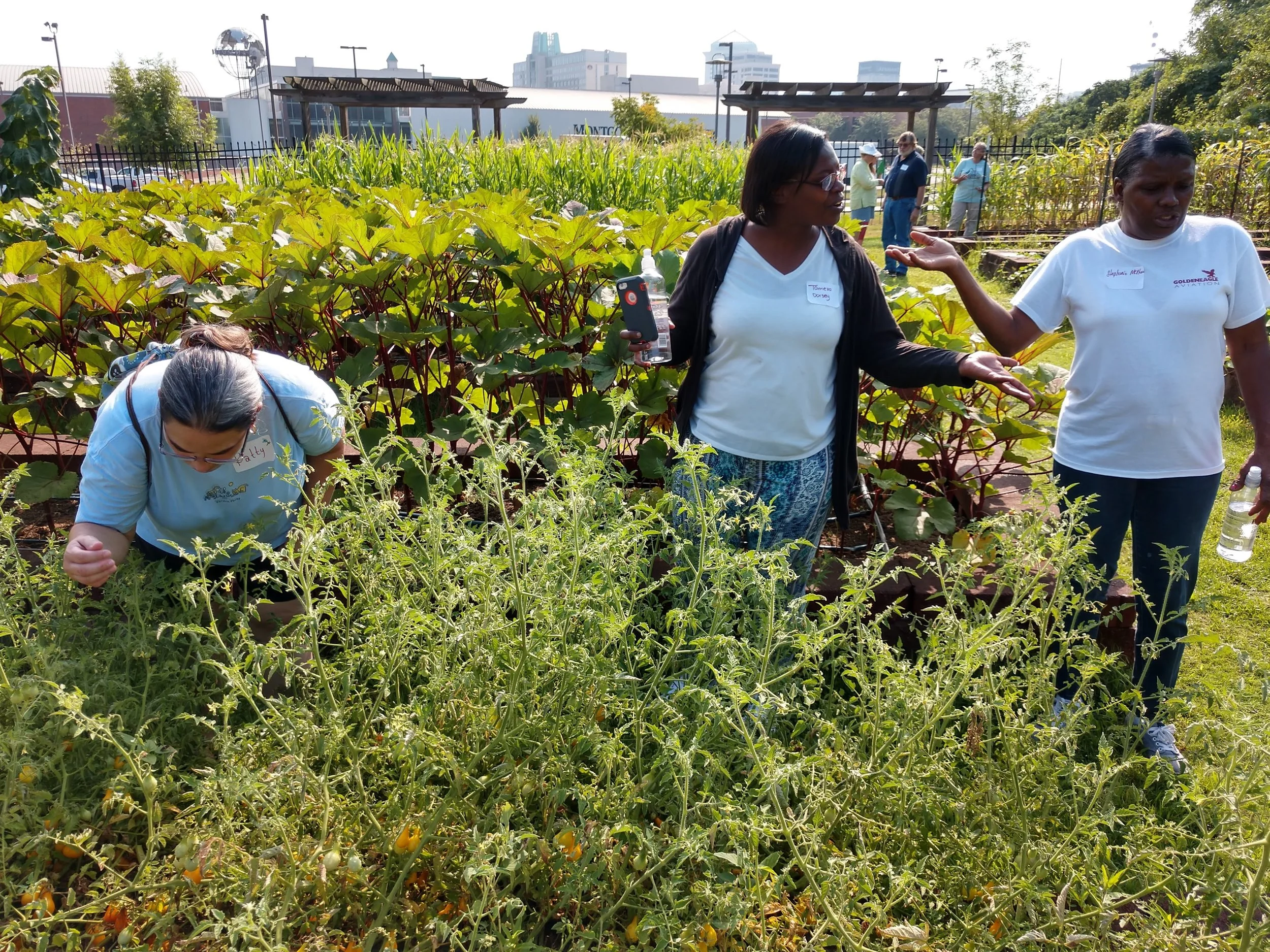 Tasting tomatoes and exploring the garden.
