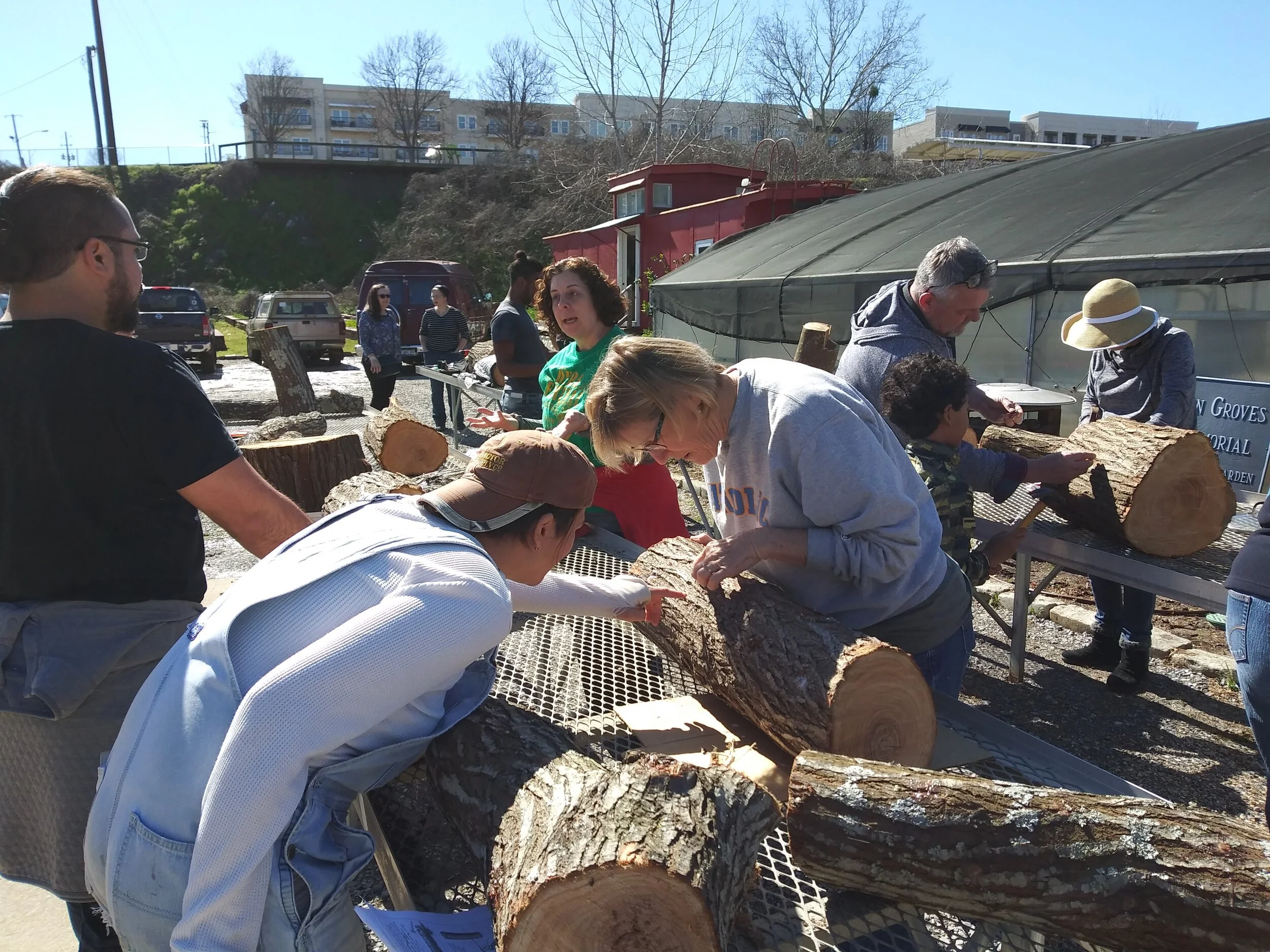 Working on the mushroom logs.jpg