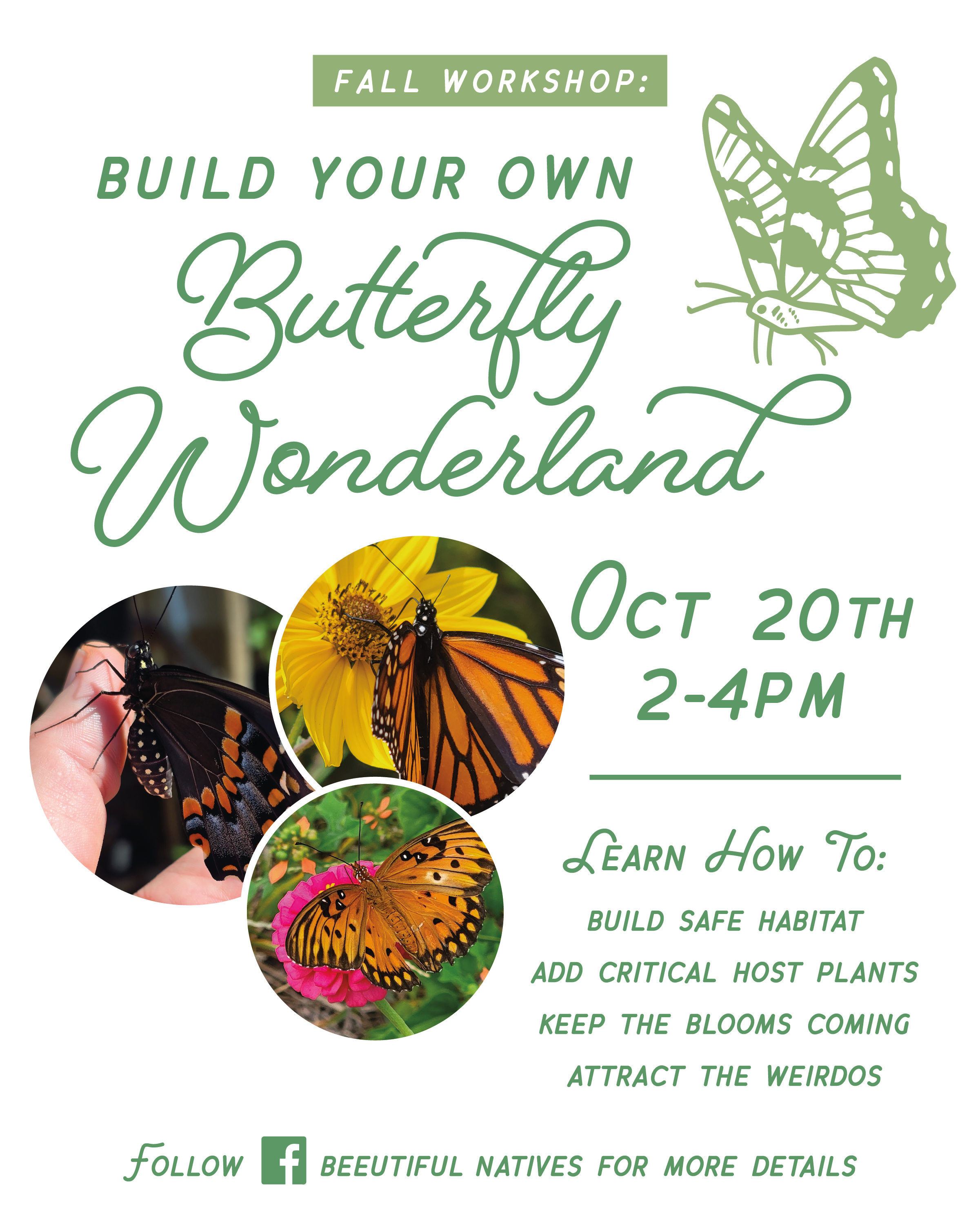 Build Your Own Butterfly Wonderland